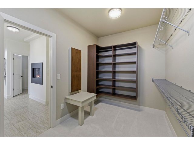 6862 Wildshore Dr, Timnath, CO 80547