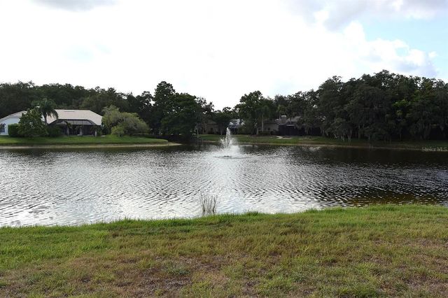 4763 BRAYTON TERRACE N, Palm Harbor, FL 34685