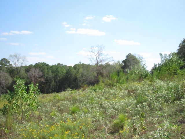 000 20 Fm256 N, Woodville, TX 75979