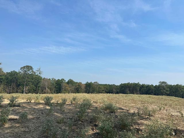 000 20 Fm256 N, Woodville, TX 75979