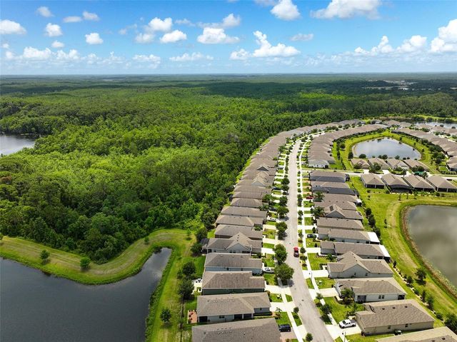 3428 SAGEBRUSH STREET, St Cloud, FL 34773