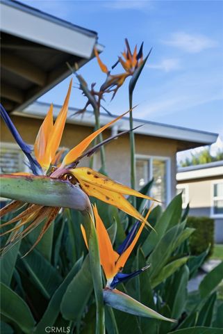 421 Sycamore Avenue, Brea, CA 92821