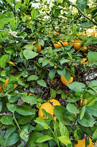 421 Sycamore Avenue, Brea, CA 92821