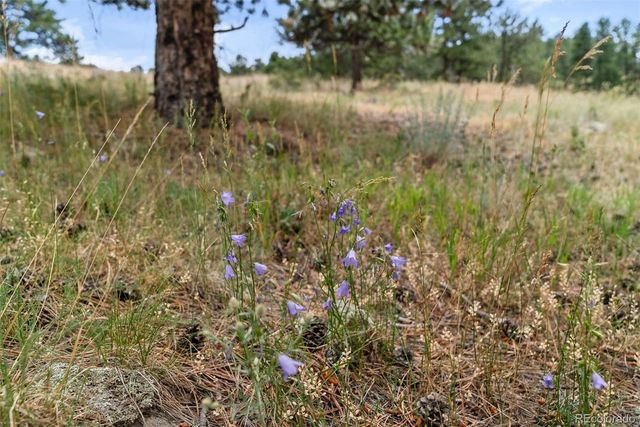 1162 Swede Gulch Road, Evergreen, CO 80439