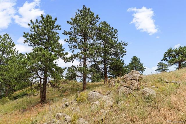 1162 Swede Gulch Road, Evergreen, CO 80439
