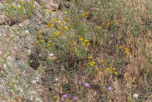 1162 Swede Gulch Road, Evergreen, CO 80439