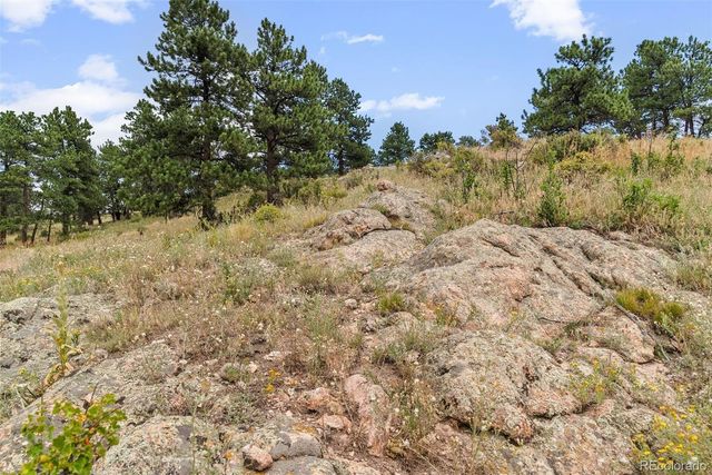 1162 Swede Gulch Road, Evergreen, CO 80439