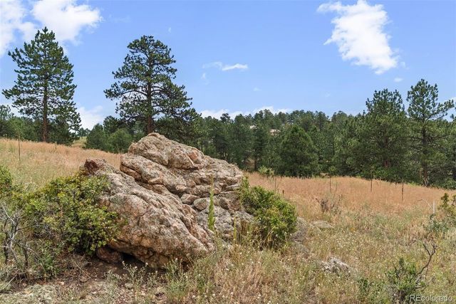 1162 Swede Gulch Road, Evergreen, CO 80439