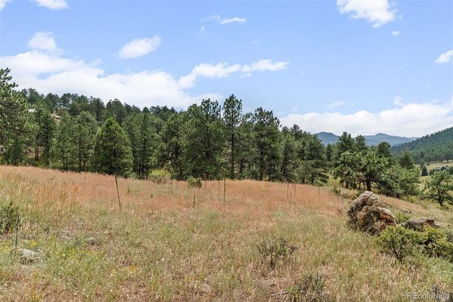 1162 Swede Gulch Road, Evergreen, CO 80439