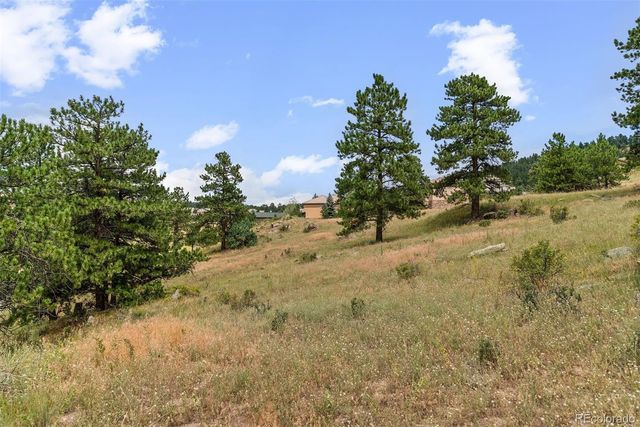 1162 Swede Gulch Road, Evergreen, CO 80439