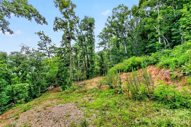 32 Nellie Bell Lane, Swannanoa, NC 28778