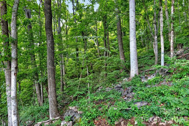 32 Nellie Bell Lane, Swannanoa, NC 28778