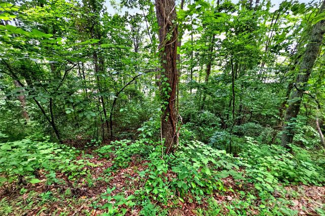 32 Nellie Bell Lane, Swannanoa, NC 28778