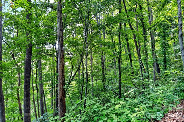 32 Nellie Bell Lane, Swannanoa, NC 28778