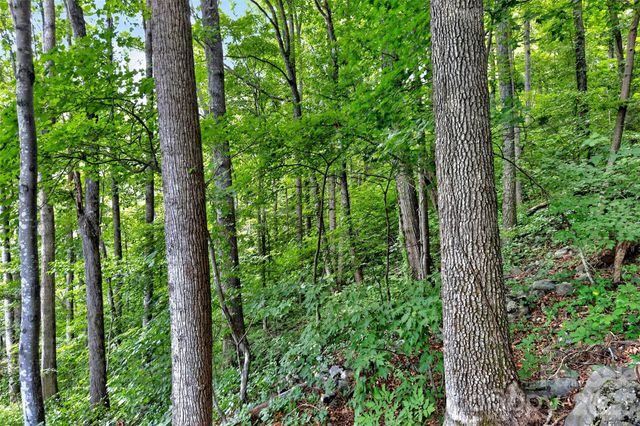 32 Nellie Bell Lane, Swannanoa, NC 28778