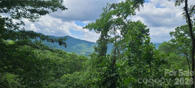 32 Nellie Bell Lane, Swannanoa, NC 28778