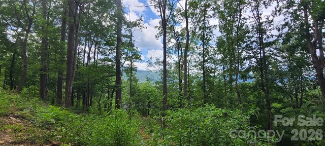 32 Nellie Bell Lane, Swannanoa, NC 28778