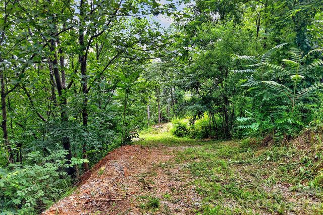 32 Nellie Bell Lane, Swannanoa, NC 28778