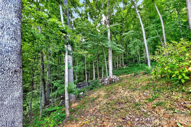 32 Nellie Bell Lane, Swannanoa, NC 28778