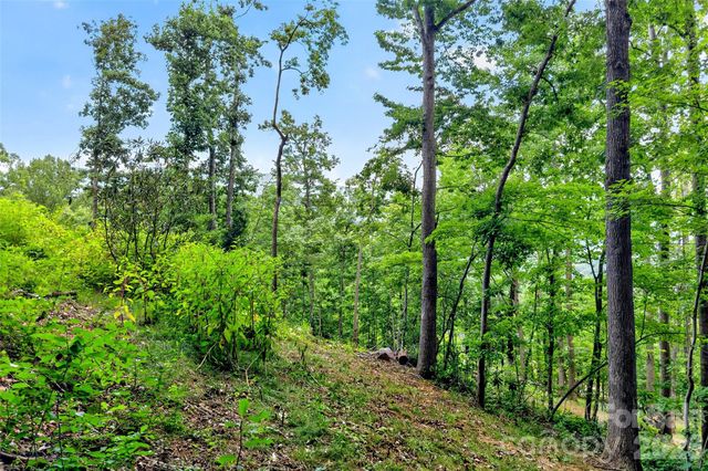 32 Nellie Bell Lane, Swannanoa, NC 28778