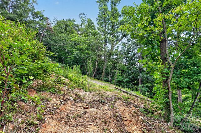 32 Nellie Bell Lane, Swannanoa, NC 28778