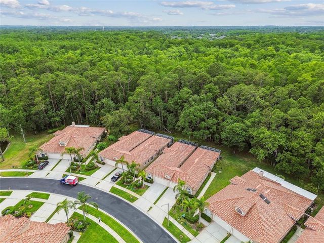 3762 DARSTON STREET, Palm Harbor, FL 34685
