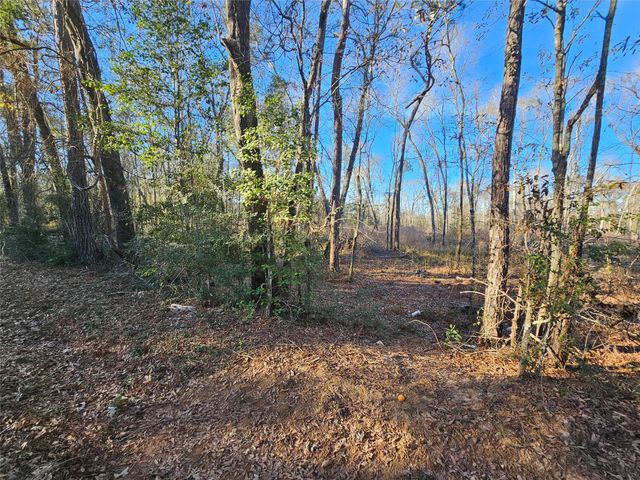 Lot 2 Sherwood Drive, Shepherd, TX 77371