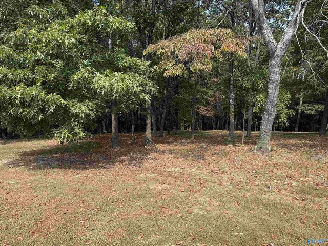 .5 Acres Jimmy Drive, Glencoe, AL 35905