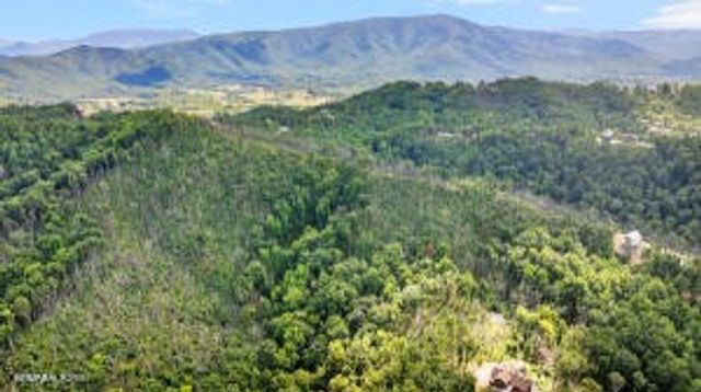 0 Crown Circle, Sevierville, TN 37862