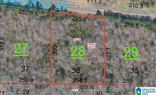 415 GREENTOP DRIVE, Odenville, AL 35120