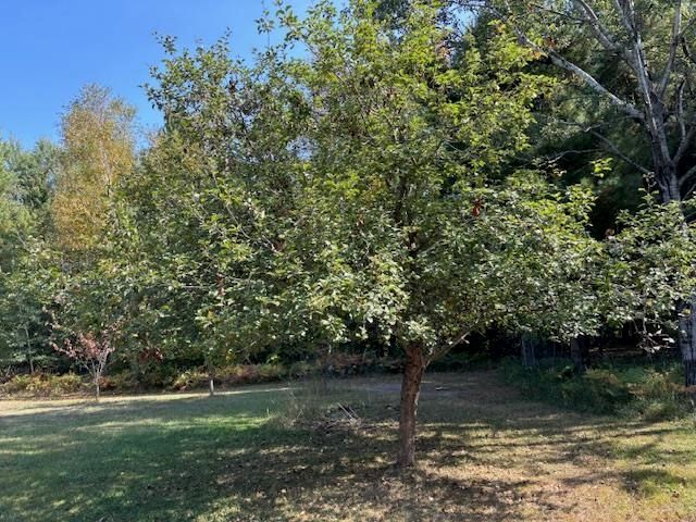 1831 Kitchen Road, Sherman Twp, MI 48770