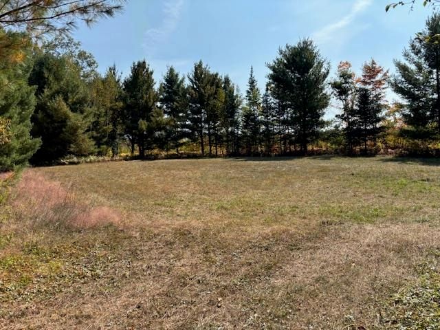 1831 Kitchen Road, Sherman Twp, MI 48770