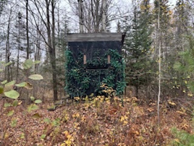 1831 Kitchen Road, Sherman Twp, MI 48770