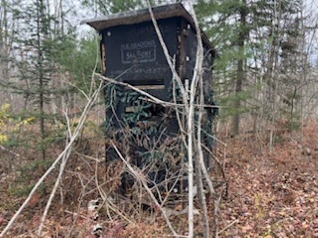 1831 Kitchen Road, Sherman Twp, MI 48770