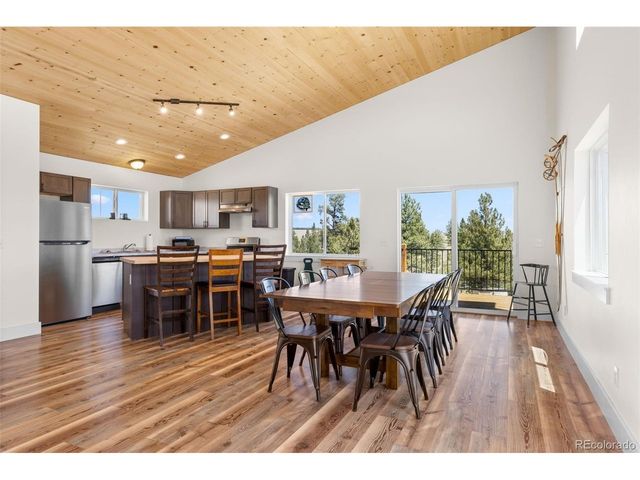 431 Rudisill St, Fairplay, CO 80440