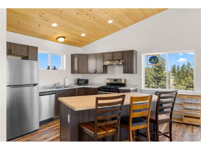 431 Rudisill St, Fairplay, CO 80440