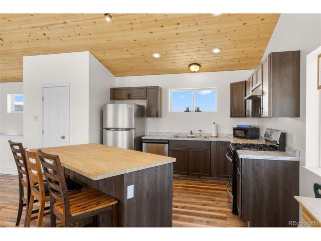 431 Rudisill St, Fairplay, CO 80440