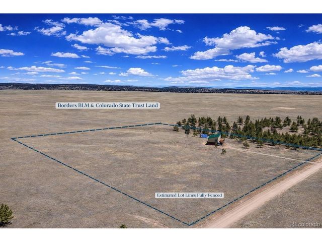 431 Rudisill St, Fairplay, CO 80440