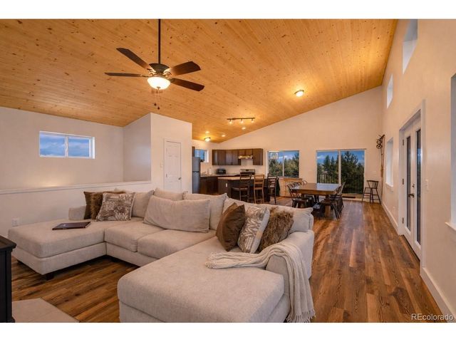431 Rudisill St, Fairplay, CO 80440