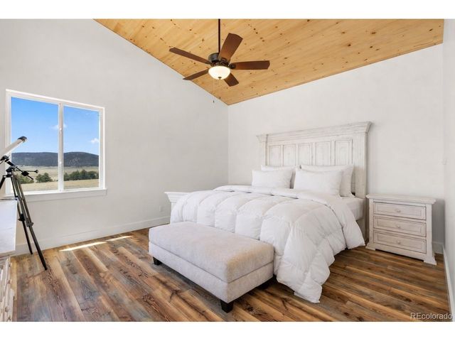 431 Rudisill St, Fairplay, CO 80440