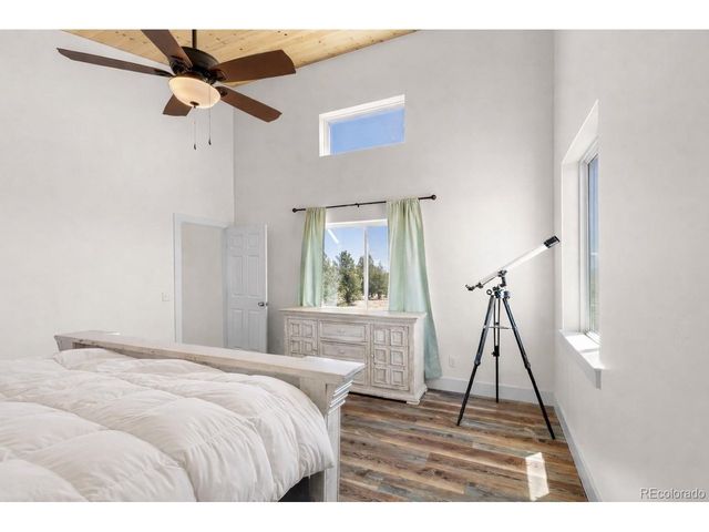 431 Rudisill St, Fairplay, CO 80440