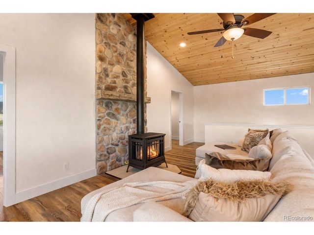 431 Rudisill St, Fairplay, CO 80440