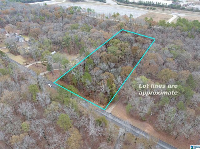 145 CHESTNUT DRIVE, Alabaster, AL 35007