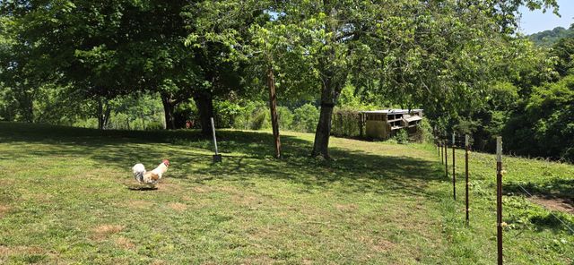 638 Mimosa Rd, Fayetteville, TN 37334