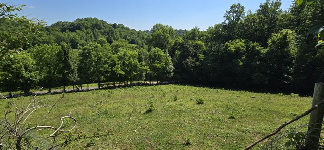 638 Mimosa Rd, Fayetteville, TN 37334