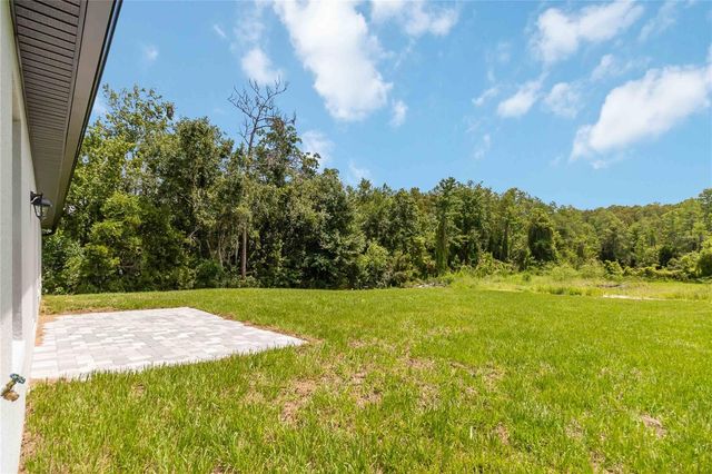 3525 RAMBLER AVENUE, St Cloud, FL 34772