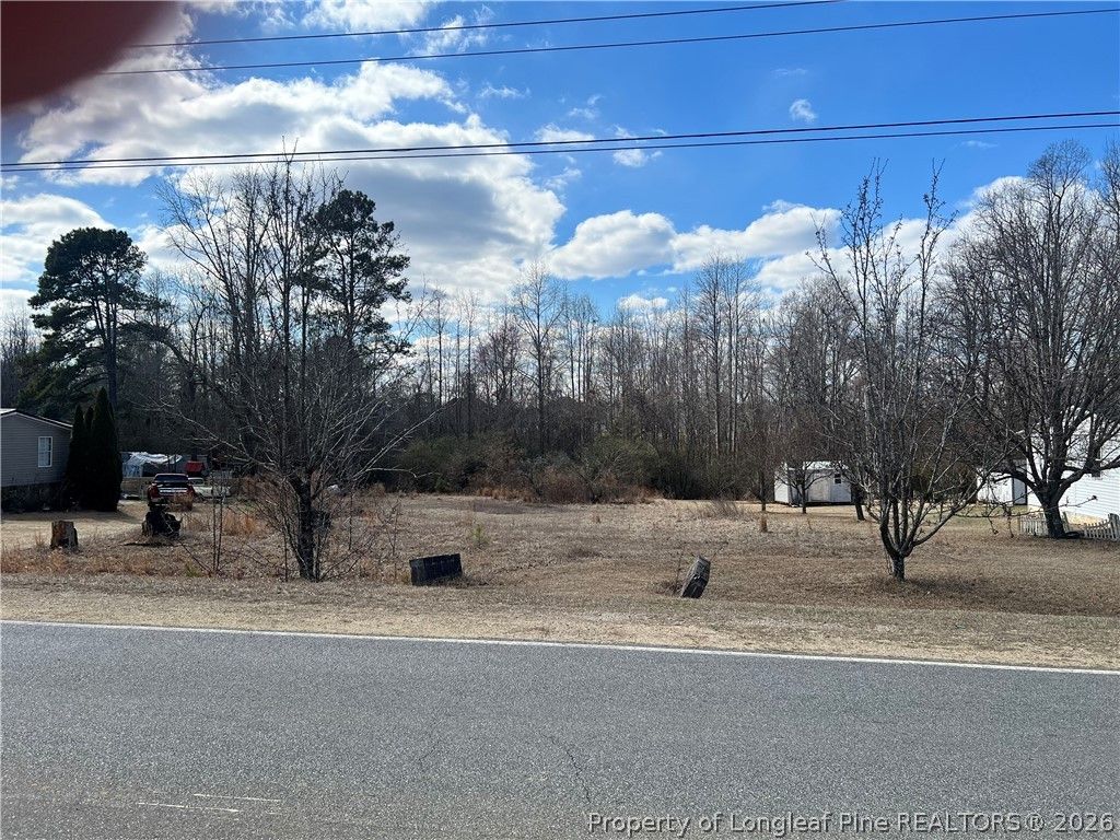 1165 Townsend Road, Raeford, NC 28376 — photo 2