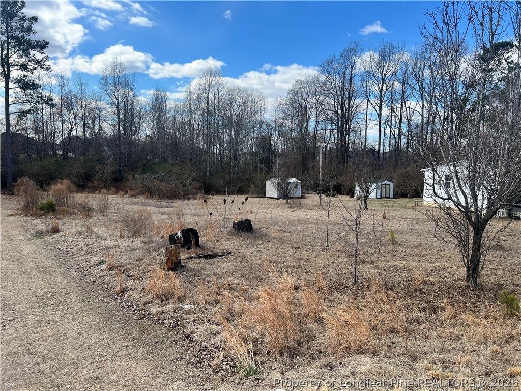1165 Townsend Road, Raeford, NC 28376 — photo 3