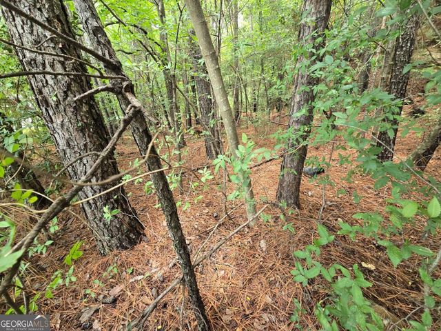 351 W Pike Street, Lawrenceville, GA 30046