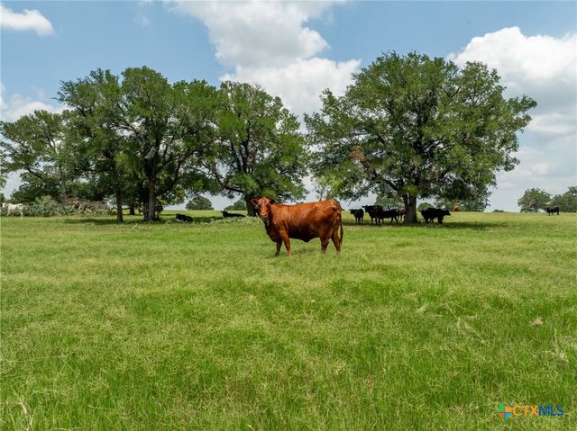 5315 Fm 932, Jonesboro, TX 76538